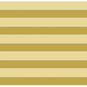 2016 DGS Türkiye Geneli Deneme Sınav Takvimleri